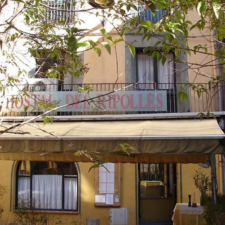 Hostal Del Ripolles Экстерьер фото